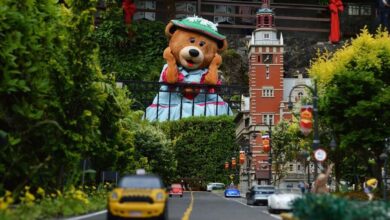 Mini-Mundo-gramado