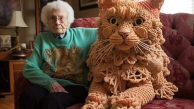 senhora-gato-gigante-3